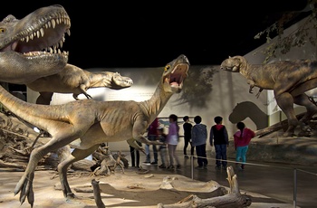 Dinosauerne er utrolig livagtige - Foto kredit: Royal Tyrrell Museum of Palaeontology
