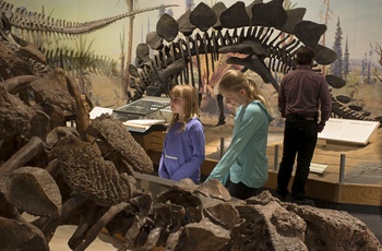 Museet har skabt nogle interessante og lærerige udstillinger - Foto kredit: Royal Tyrrell Museum of Palaeontology