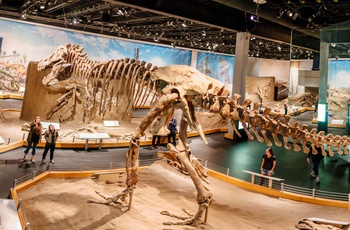 RTMP Dinosaur Hall Trex - Foto kredit: Royal Tyrrell Museum of Palaeontology 