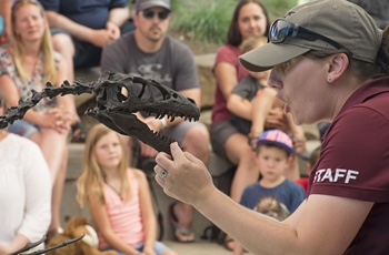 Der undervises også på museet - Foto kredit: Royal Tyrrell Museum of Palaeontology