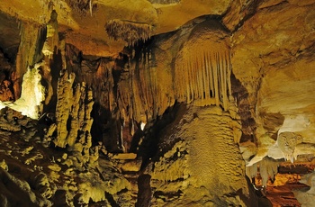 Hule/grottesystemet Raccoon Mountain Caverns i Tennessee