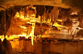 Hule/grottesystemet Raccoon Mountain Caverns i Tennessee
