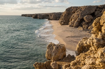 Ras al Jinz Turtle Reserve - Oman