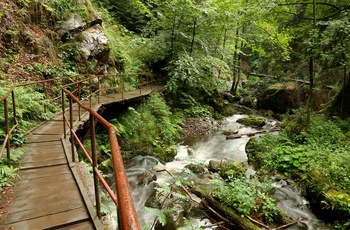 Ravenna-slugten i Schwarzwald