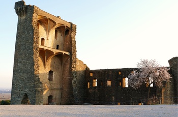 Ruinen af paveslottet i Châteauneuf-du-pape i Rhonedalen