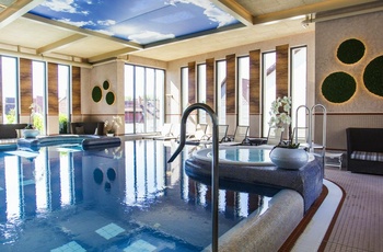 Romantik Göbel's Schlosshotel Prinz von Hessen, Thüringen i Tyskland - Spaområdet