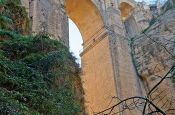 Puente Nuevo, berømt bro i Ronda set nede fra, Andalusien