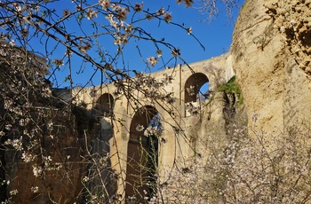 Broen Puente Nuevo i Ronda, Andalusien