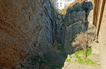 Vandretur under broen Puente Nuevo i Ronda, Andalusien