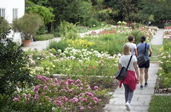 Rosengarten i München © München Tourismus, Frank Stolle