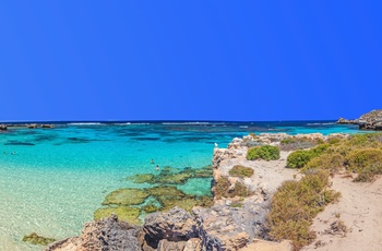 Lækker strand på Rottnest Island i Western Australia
