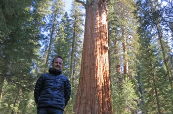 Ruddi i Sequoia National Park - rejsespecialist i Aalborg