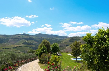 Rural Quinta do Silval - Pool