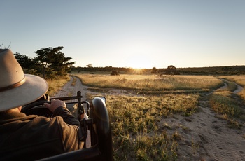 På safari i Sabi Sands Game Reserve, der ligger lidt øst for Hazyview, Sydafrika