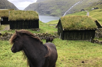 Naturskønne Saksun, Færøerne