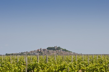 Sancerre bag vinmarker, Frankrig