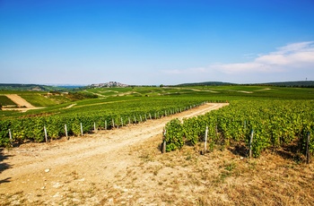 Sancerre - vue over vinmarker, Frankrig