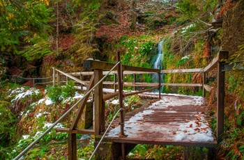 Sankenbach vandfald i Baiersbronn, Schwarzwald
