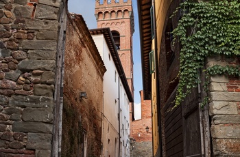Kirken Sant'Andrea i Montecarlo di Lucca i Toscana - Italien