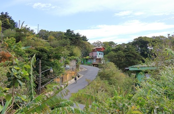 Santa Elena i Monteverde - Costa Rica