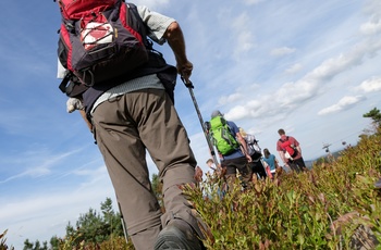 Vandring i Sauerland - Copyright Tourist-Information Willingen, Fotograf Wolfgang Detemple