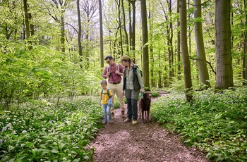 Foto: Ranger i  Hainich Nationalpark - © GNTB, DZT/Jens Wegener