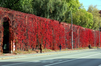 Lang mur med rødt løv i Schlachthofviertel distriktet - © München Tourismus, Sigi Müller