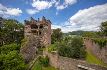 Schloss Heidelberg © Heidelberg Marketing GmbH