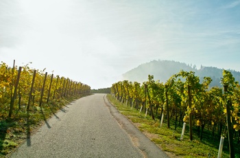 Badische Weinstrasse nær Schwarzwald i det sydlige Tyskland