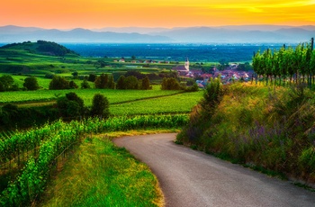 Badische Weinstrasse nær Schwarzwald i det sydlige Tyskland