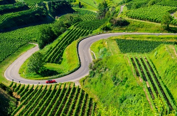 Badische Weinstrasse ved Kaiserstuhl, Schwarzwald i det sydlige Tyskland