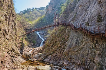 Turiste på gangbro i Seoraksen National Park - Sydkorea