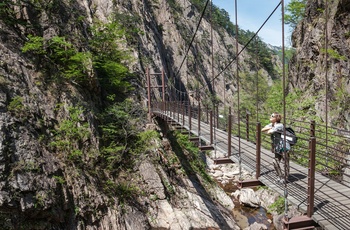Turist på gangbro i Seoraksen National Park - Sydkorea