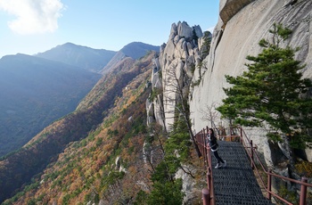 Kvindelig turist i Seoraksen National Park - Sydkorea
