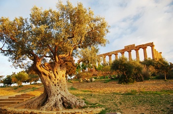 Agrigento - tempelruiner om aftenen på Sicilien