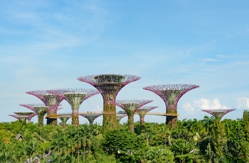 Supertrees i Garden by the Bay i Singapore