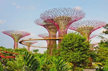 Supertrees i Garden by the Bay i Singapore