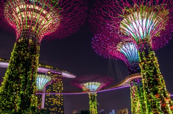 Supertrees i Garden by the Bay om aftenen - Singapore