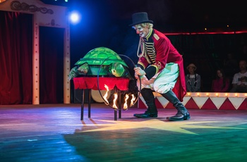 Cirkus i Dyreparken i Kristiansand