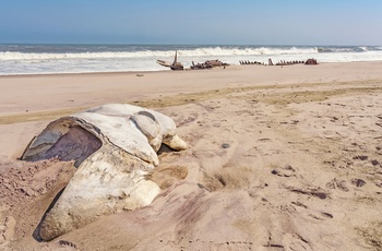 Skelet og dele af et skibsvrag på stranden i Skeleton Coast National Park, Namibia