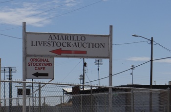 Skilt til Amarillo Livestock Auction, Texas