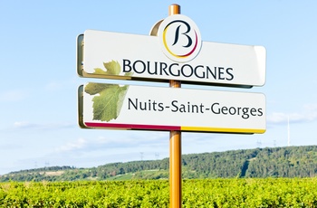 Skilt ved Nuits-Saint-George Bourgogne