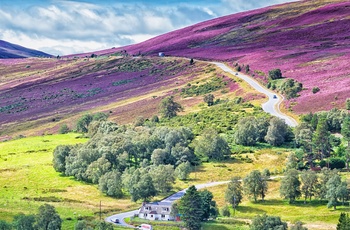 Vej gennem Cairngorms Nationalpark i Skotland