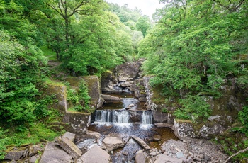 Det lille vandfald Bracklinn Falls, Callander i Skotland