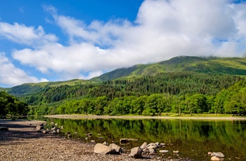 Søen Loch Lubnaig omgivet af skov - Skotland