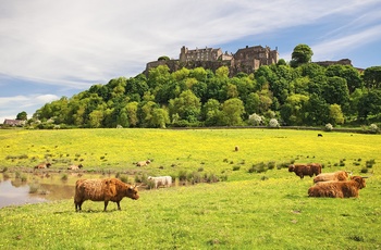 Skotland Stirling Castle