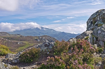 Bjerge i The Trossachs, naturområde i Skotland