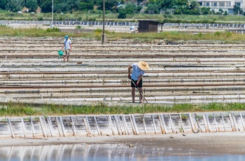 Saltproduktion i Secovlje nær kystbyen Piran i Slovenien