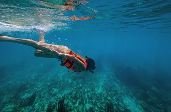 Snorkling i Mexico