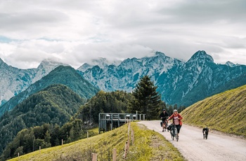 På cykel langs Solcava Panoramic Road i Slovenien